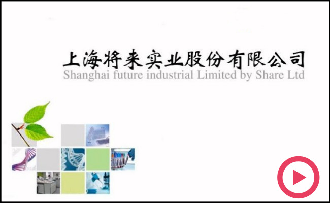 上海将来实业股份有限公司品牌解读